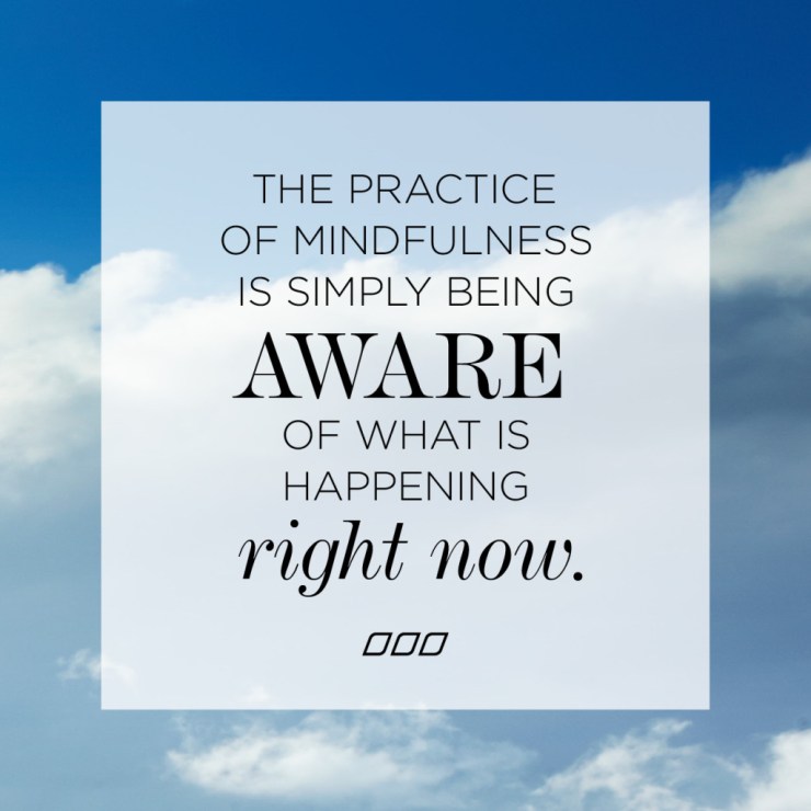 2014_07_MNB_DailyMindfulnessPractice_Quote-1024x1024.jpg