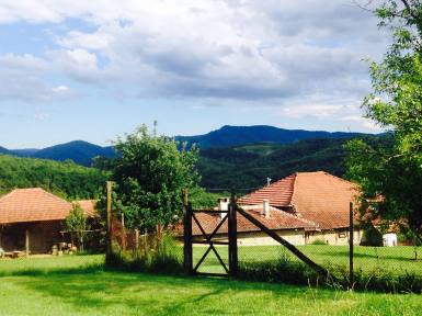 Bulgaria Yoga Dharma 2016.jpg